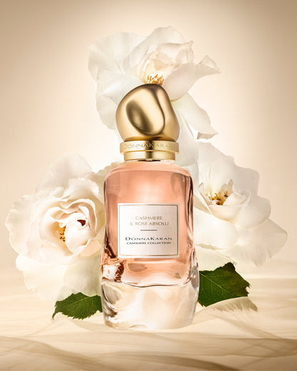 CASHMERE & ROSE ABSOLU 100 ML